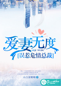 爱妻无度:误惹危情总裁