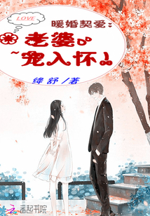 暖婚契爱:老婆,宠入怀