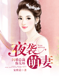 夜袭萌妻:闪婚总裁你太坏